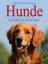 Sarah Whitehead: Hunde. Das illustrierte