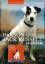 Eva Struck: Parson und Jack Russel Terri