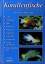 Eichler, Dieter und Robert E. Myers: Kor Eichler, Dieter und Robert E. Myers: Kor