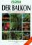 Johannes Haller: Der Balkon