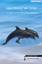 Herbert Gerstl: Mein Freund der Delfin. Herbert Gerstl: Mein Freund der Delfin.