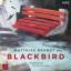 Matthias Brandt: Blackbird