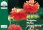 Mohn/Poppies/Coquelicots: Postkartenbuch