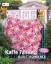 Kaffe Fassett: Kaffe Fassett - Quilt Rom