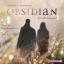 Armentrout, Jennifer L.: Obsidian 1: Obs