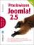 Tim Schürmann: Praxiswissen Joomla! 2.5,