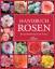 Annette Mader: Handbuch Rosen. Die schön