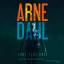 Arne Dahl: Fuenf plus drei, 2 Audio-CD, 