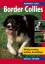 Barbara Sykes: Border Collies. Richtig v