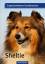 Susanne Roser: Sheltie | Expertenwissen 