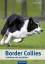 Barbara Sykes: Border Collies erziehen u