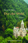 gebrauchtes Buch – Marianne Hacker – Der alte Wald – Bild 1