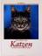 Günter Kunert: Katzen : Eine Bildreise