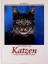 gebrauchtes Buch – Günter Kunert – Katzen – Bild 1