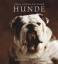 Yann Arthus-Bertrand (Autor): Hunde von 