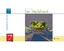 Michael Kempkes: Der Teichfrosch | Micha
