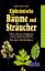 Einheimische Bäume und Sträucher - über 100 der wichtigsten Arten sicher bestimmen