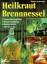 Renate Spannagel: Heilkraut Brennessel