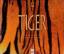Tiger - Michael Nichols