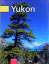 Theo Allofs: Yukon