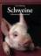 Lutz Schiering: Schweine