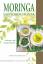 Sabine Glocker: Moringa – Das Vitaminges