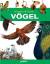 Wissen ist stark: Vögel