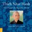 Thich Nhat Hanh: Das Wundes des bewusste