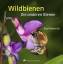 Paul Westrich: Wildbienen - Die anderen 