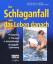 Barolin, Gerhard; Zifko, Udo: Schlaganfa