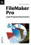 FileMaker Pro Good Programming Practice