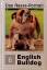 Imelda Angehrn: English Bulldog (Das Hun