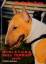 Miniature Bull Terrier - heute Fleig, Di