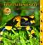 Heiderose Fischer-Nagel: Feuersalamander Heiderose Fischer-Nagel: Feuersalamander
