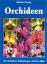 Orchideen – Die Orchideen Mitteleuropas und der Alpen