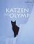 Masumi Yoshitaka: Katzen des Olymp