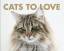 Matthias Reuss: Cats to Love