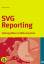 Herbert Bader: SVG Reporting