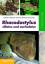 Friedrich-Wilhelm Henkel: Rhacodactylus Friedrich-Wilhelm Henkel: Rhacodactylus
