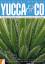 Thomas Boeuf: Yucca & Co