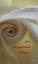 Rebecca Abrantes, Nona Simakis: Des Rose Rebecca Abrantes, Nona Simakis: Des Rose