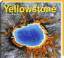 Norbert Rosing: Yellowstone: Natur im Wa