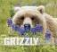 Matthias Breiter: Grizzly: Herrscher der