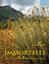 Andrea Nabert: Immortelle - Porträt eine Andrea Nabert: Immortelle - Porträt eine