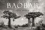 BAOBAB: Meine Reise zu den ältesten Lebe