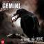 Markus Topf: Mord in Serie - Gemini, 1 A