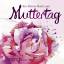 Ein kleines Buch zum Muttertag | Buch | 