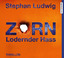 Zorn 7 – Lodernder Hass