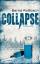 Bernd Roßbach: Collapse -  Science-Thril