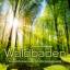 Waldbaden, Audio-CD, Audio-CD